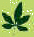 wpe6.jpg (963 bytes)