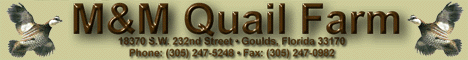 M&M Quail Farm