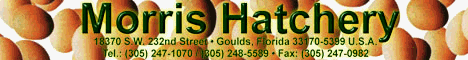 Morris Hatchery